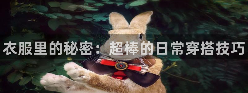 虫虫漫画网免费：衣服里的秘密：超棒的日常穿搭技巧
